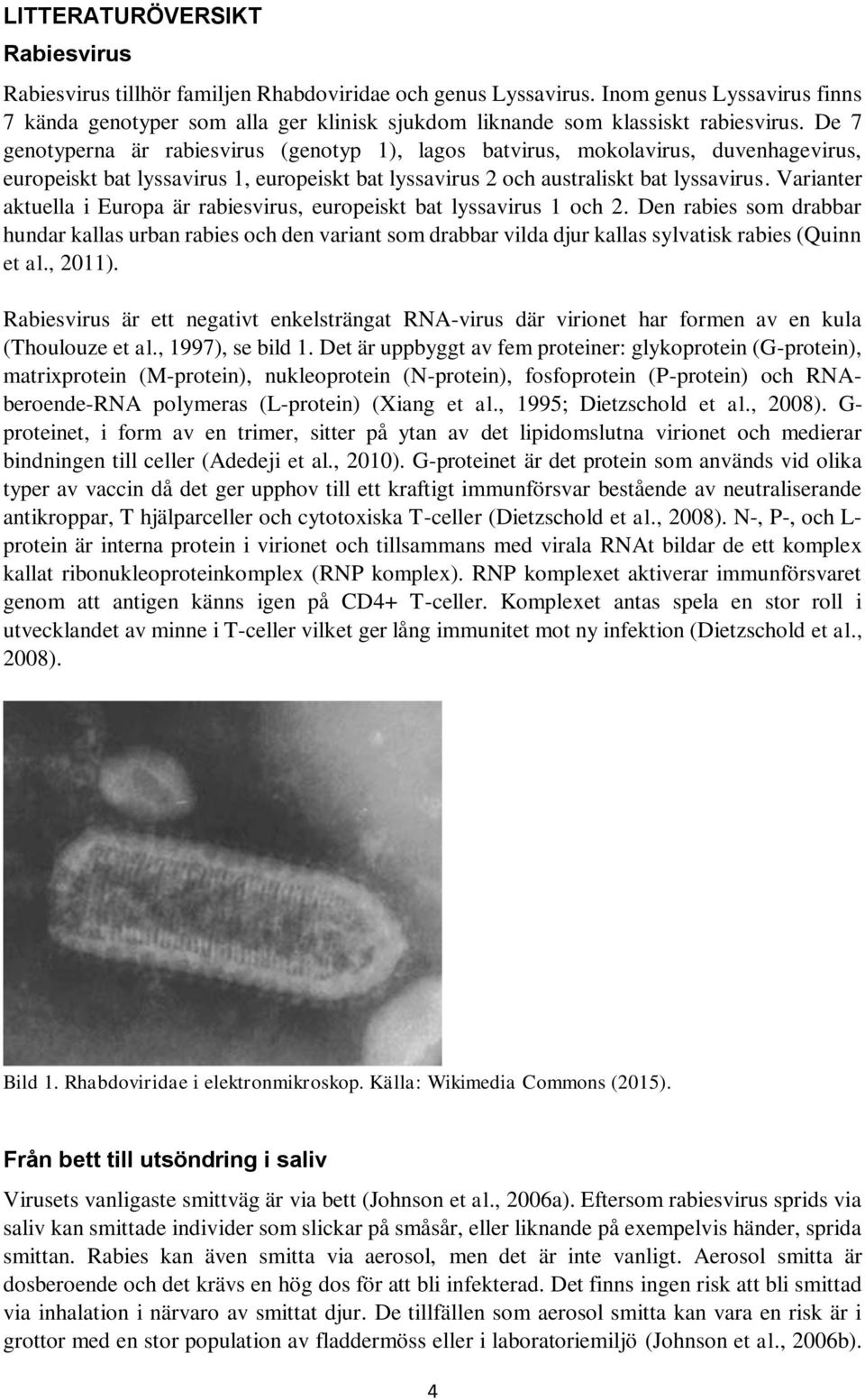 De 7 genotyperna är rabiesvirus (genotyp 1), lagos batvirus, mokolavirus, duvenhagevirus, europeiskt bat lyssavirus 1, europeiskt bat lyssavirus 2 och australiskt bat lyssavirus.