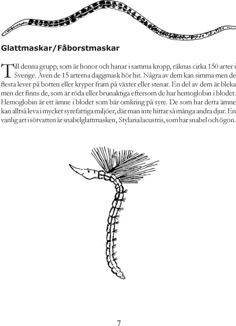 En del av dem är bleka men det finns de, som är röda eller brunaktiga eftersom de har hemoglobin i blodet.