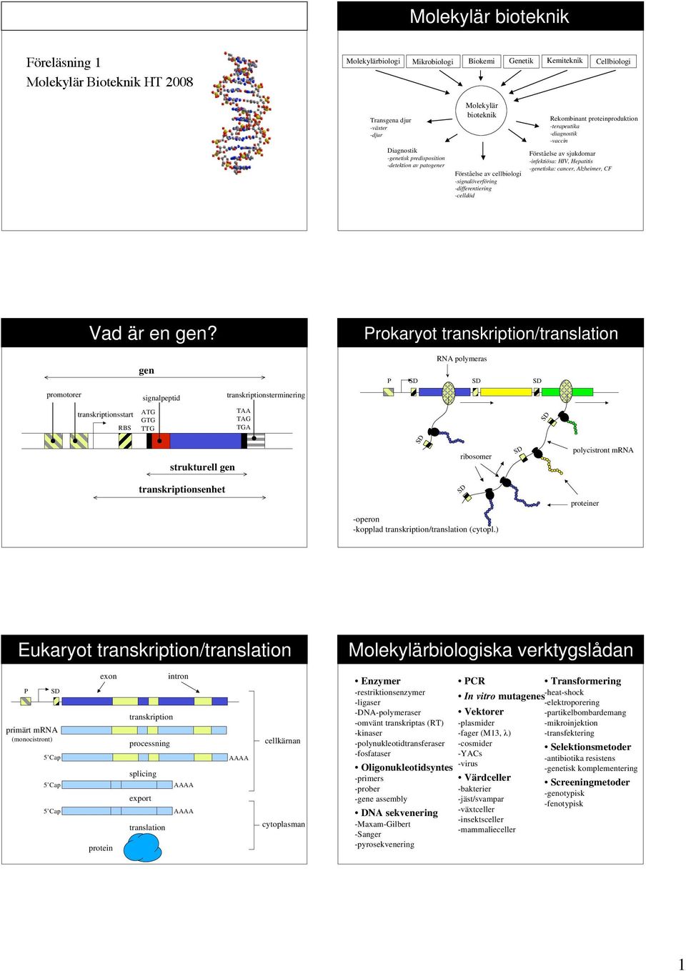 sjukdomar -infektiösa: IV, epatitis -genetiska: cancer, lzheimer, F promotorer Vad är en gen?