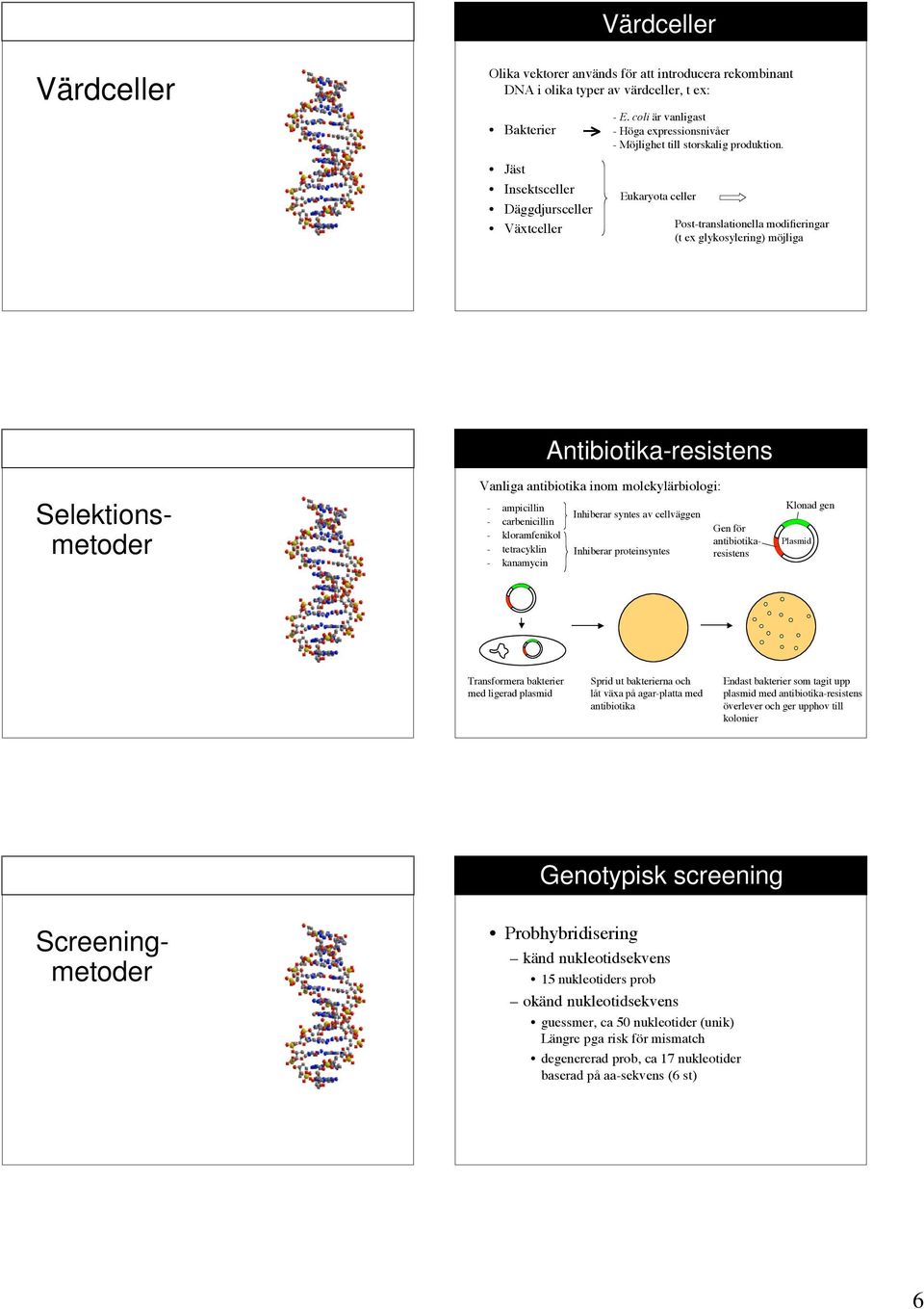 Jäst Insektsceller Däggdjursceller Växtceller Eukaryota celler Post-translationella modifieringar (t ex glykosylering) möjliga Selektionsmetoder - ampicillin - carbenicillin - kloramfenikol -