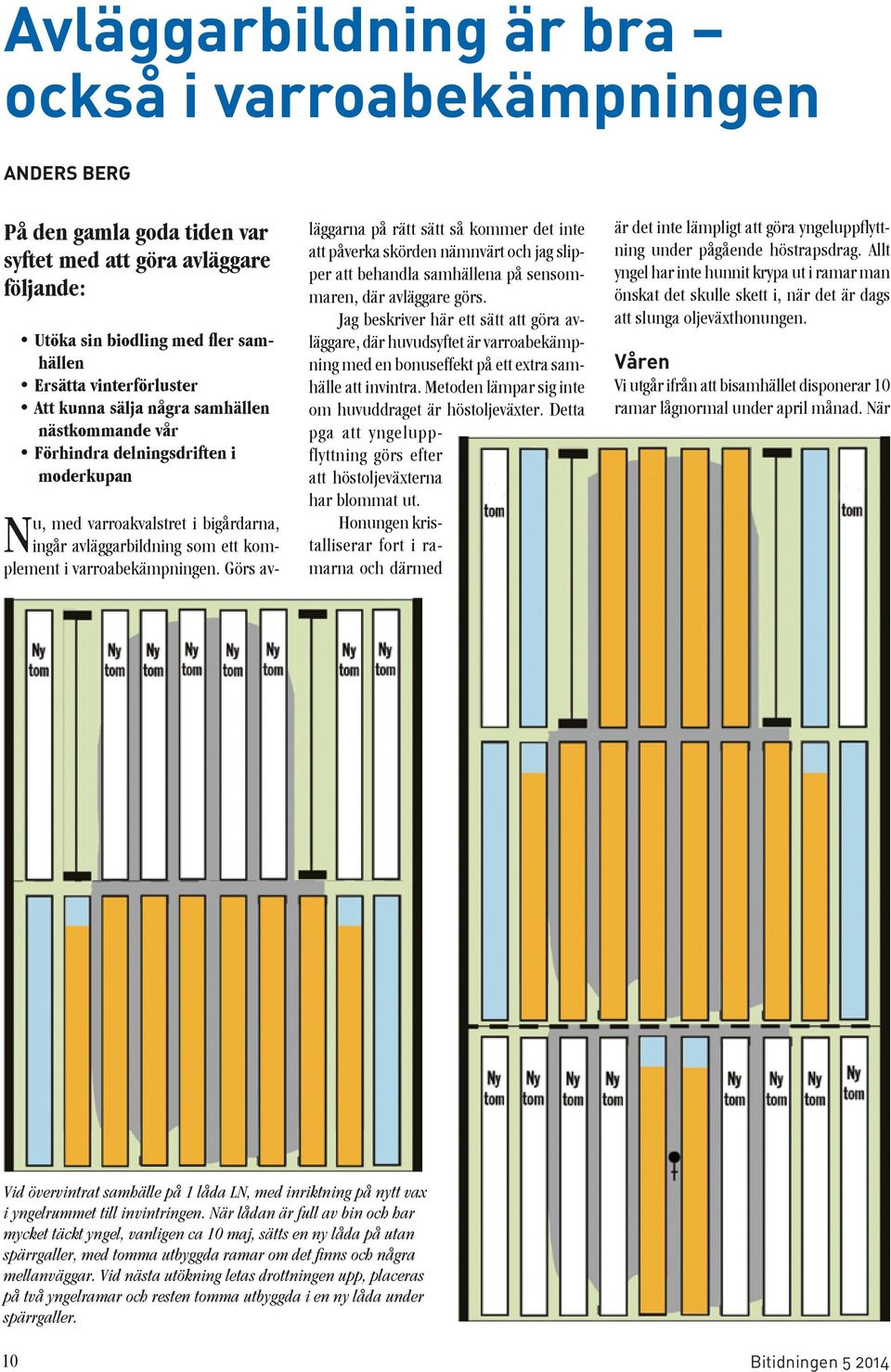 Görs av- läggarna på rätt sätt så kommer det inte att påverka skörden nämnvärt och jag slipper att behandla samhällena på sensommaren, där avläggare görs.