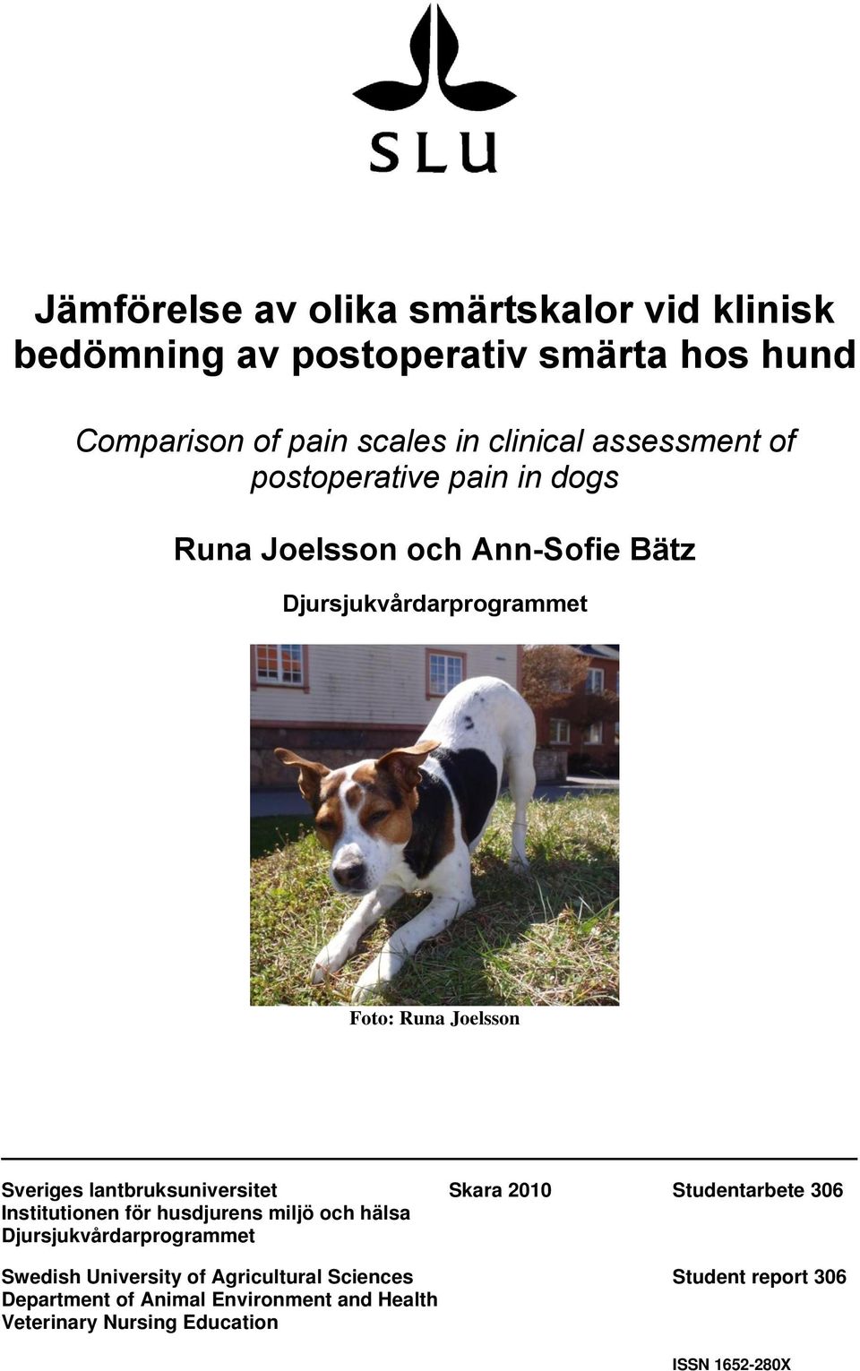lantbruksuniversitet Skara 2010 Studentarbete 306 Institutionen för husdjurens miljö och hälsa Djursjukvårdarprogrammet Swedish
