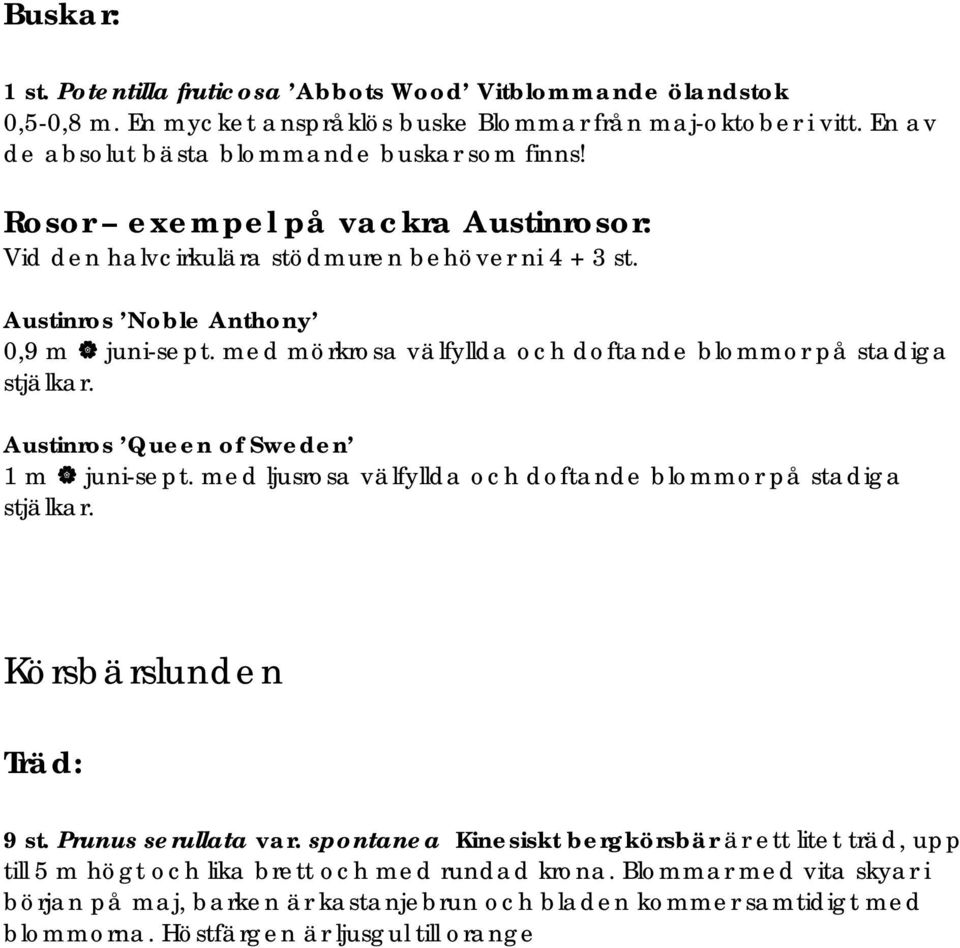 Austinros Queen of Sweden 1 m juni-sept. med ljusrosa välfyllda och doftande blommor på stadiga stjälkar. Körsbärslunden Träd: 9 st. Prunus serullata var.