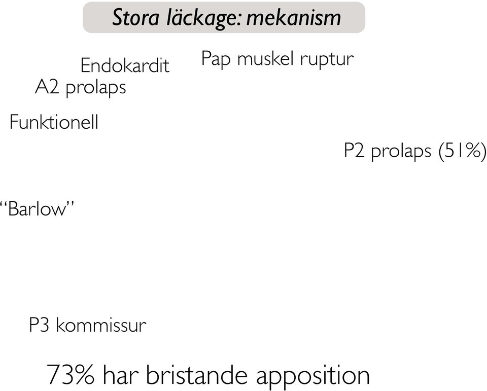 ruptur P2 prolaps (51%) Barlow P3