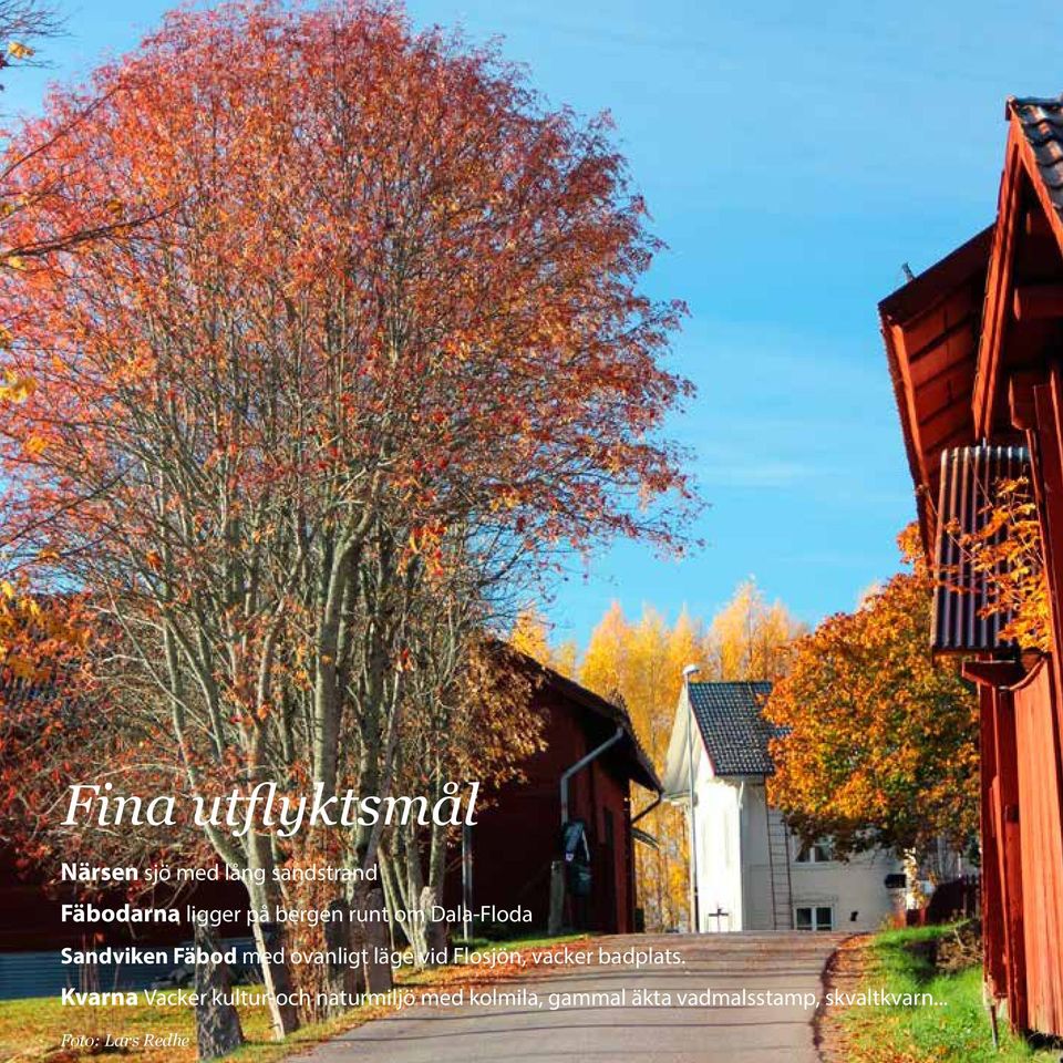 vid Flosjön, vacker badplats.