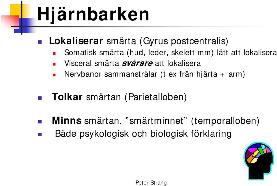 sammanstrålar (t ex från hjärta + arm) Tolkar smärtan (Parietalloben) Minns