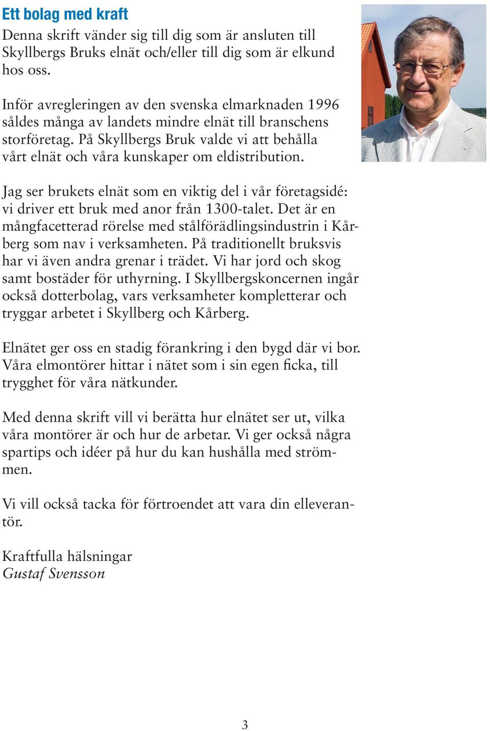 På Skyllbergs Bruk valde vi att behålla vårt elnät och våra kunskaper om eldistribution. Jag ser brukets elnät som en viktig del i vår företagsidé: vi driver ett bruk med anor från 1300-talet.