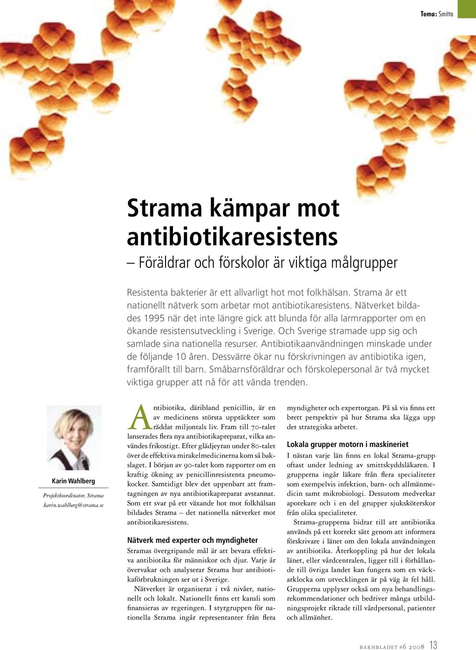 Och Sverige stramade upp sig och samlade sina nationella resurser. Antibiotikaanvändningen minskade under de följande 10 åren.