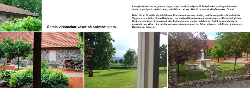 Gamla vinstockar växer på solvarm plats... Det är lätt att föreställa sig det förflutna. Kvarlämnade redskap och ting berättar om gårdens långa historia.