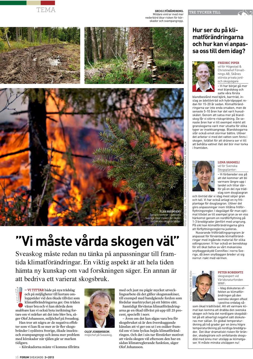 En annan är att bedriva ett varierat skogsbruk. C Vi tittar både på nya trädslag och på möjligheter till kortare omloppstider vid den ökade tillväxt som klimatförändringarna ger.