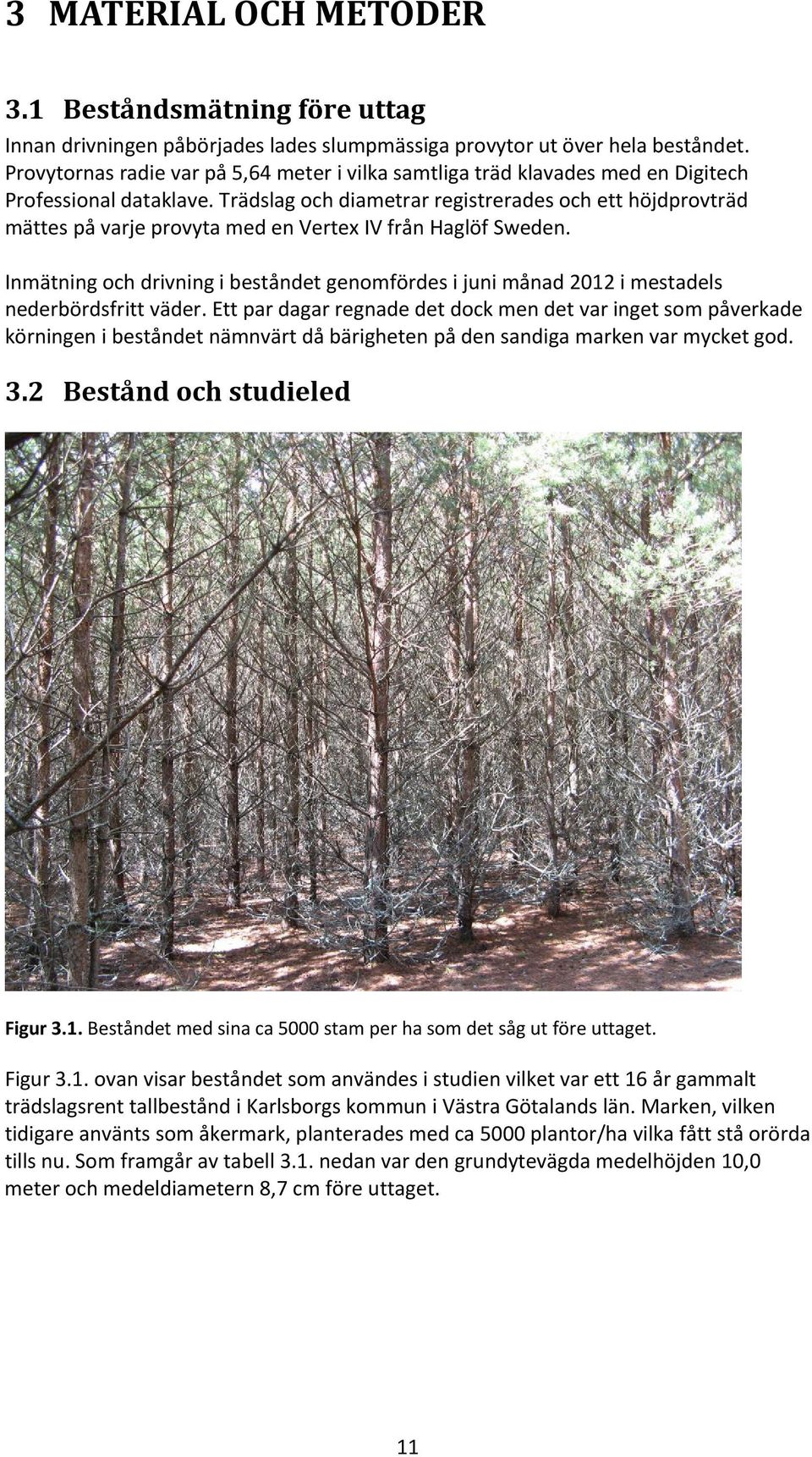 Trädslag och diametrar registrerades och ett höjdprovträd mättes på varje provyta med en Vertex IV från Haglöf Sweden.