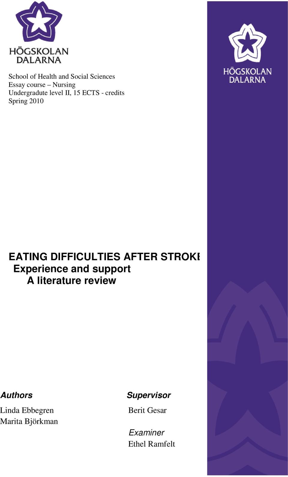 DIFFICULTIES AFTER STROKE Experience and support A literature