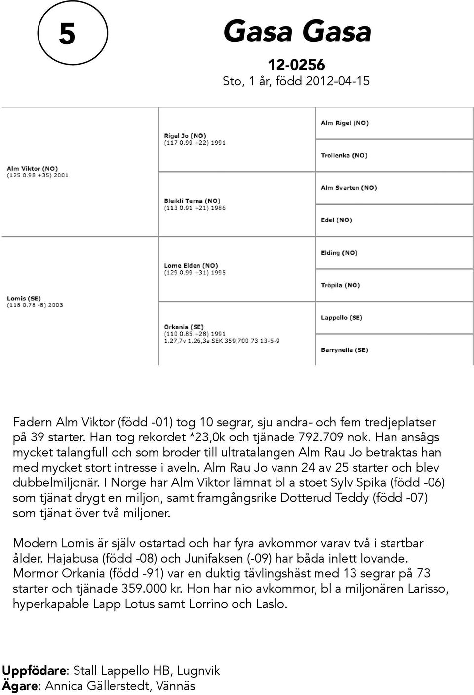 I Norge har Alm Viktor lämnat bl a stoet Sylv Spika (född -06) som tjänat drygt en miljon, samt framgångsrike Dotterud Teddy (född -07) som tjänat över två miljoner.