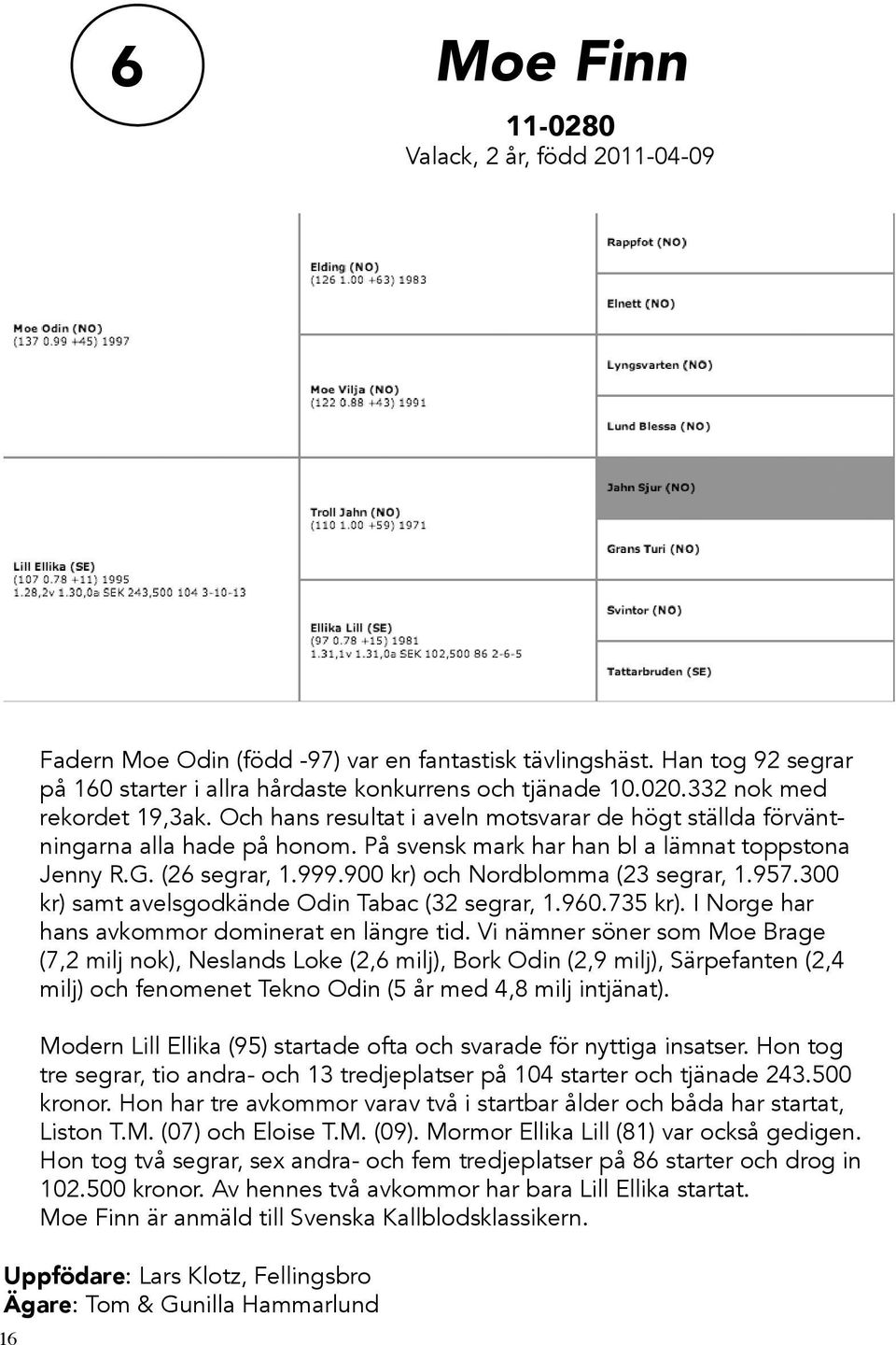 På svensk mark har han bl a lämnat toppstona Jenny R.G. (26 segrar, 1.999.900 kr) och Nordblomma (23 segrar, 1.957.300 kr) samt avelsgodkände Odin Tabac (32 segrar, 1.960.735 kr).