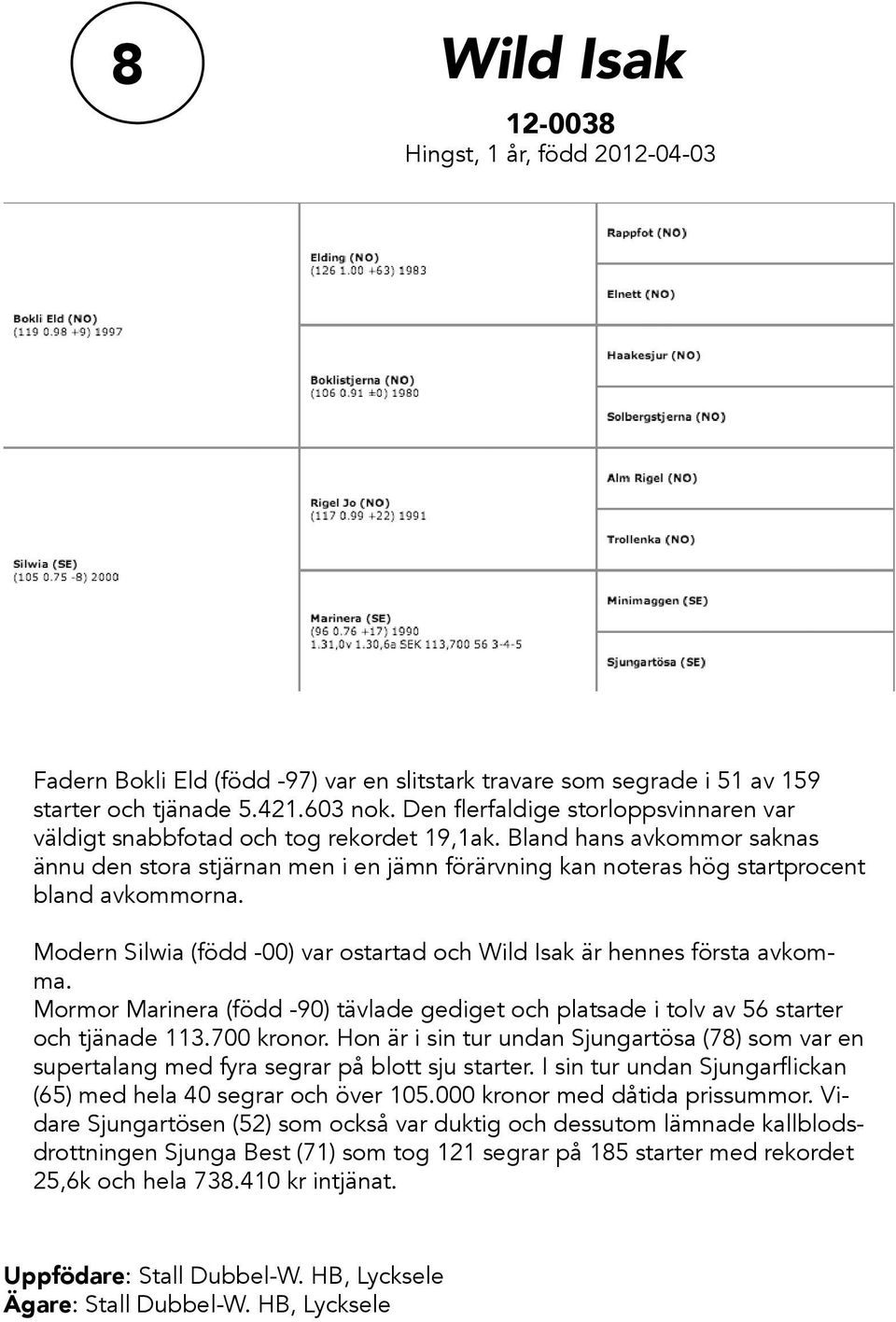 Bland hans avkommor saknas ännu den stora stjärnan men i en jämn förärvning kan noteras hög startprocent bland avkommorna. Modern Silwia (född -00) var ostartad och Wild Isak är hennes första avkomma.