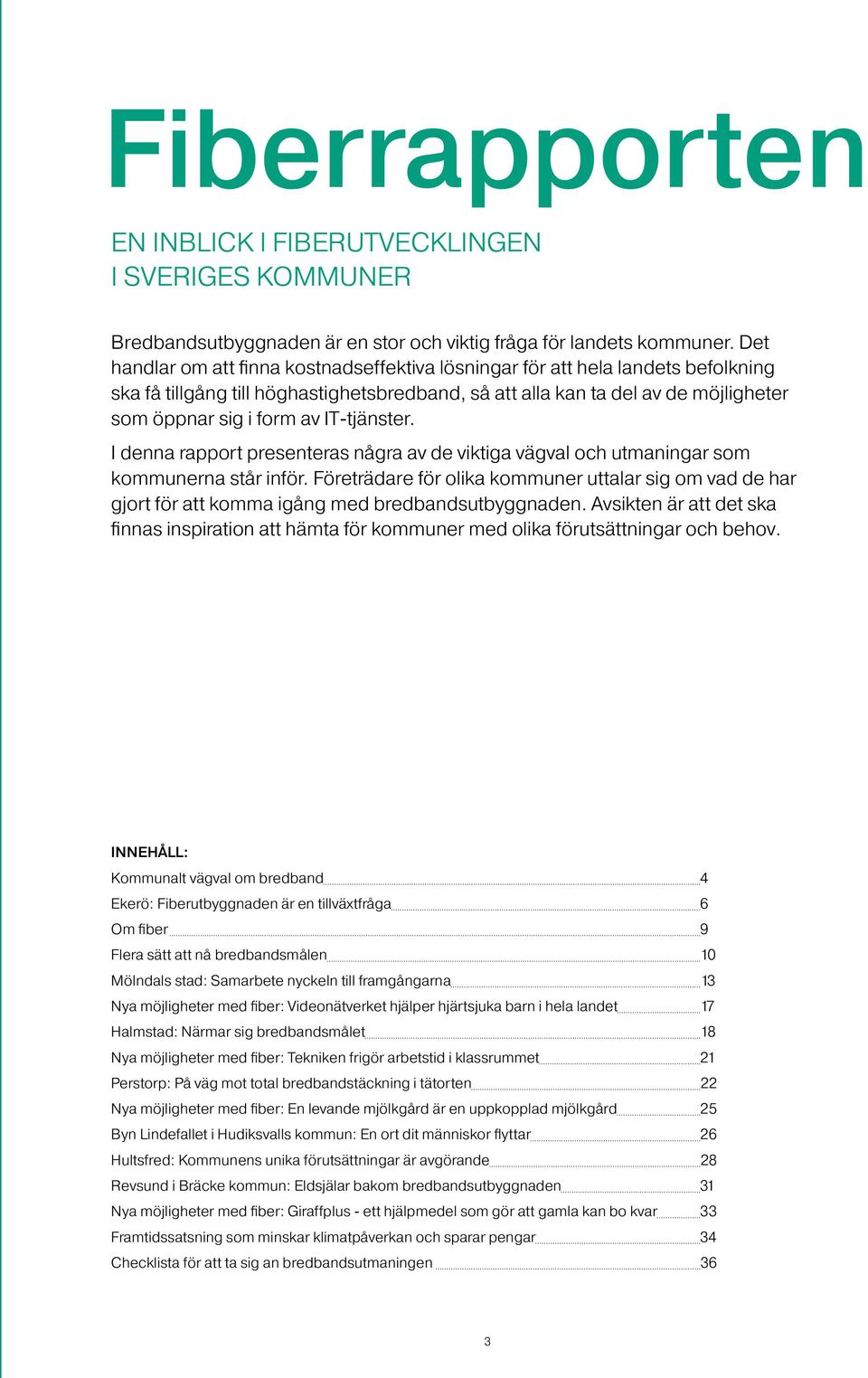 IT-tjänster. I denna rapport presenteras några av de viktiga vägval och utmaningar som kommunerna står inför.