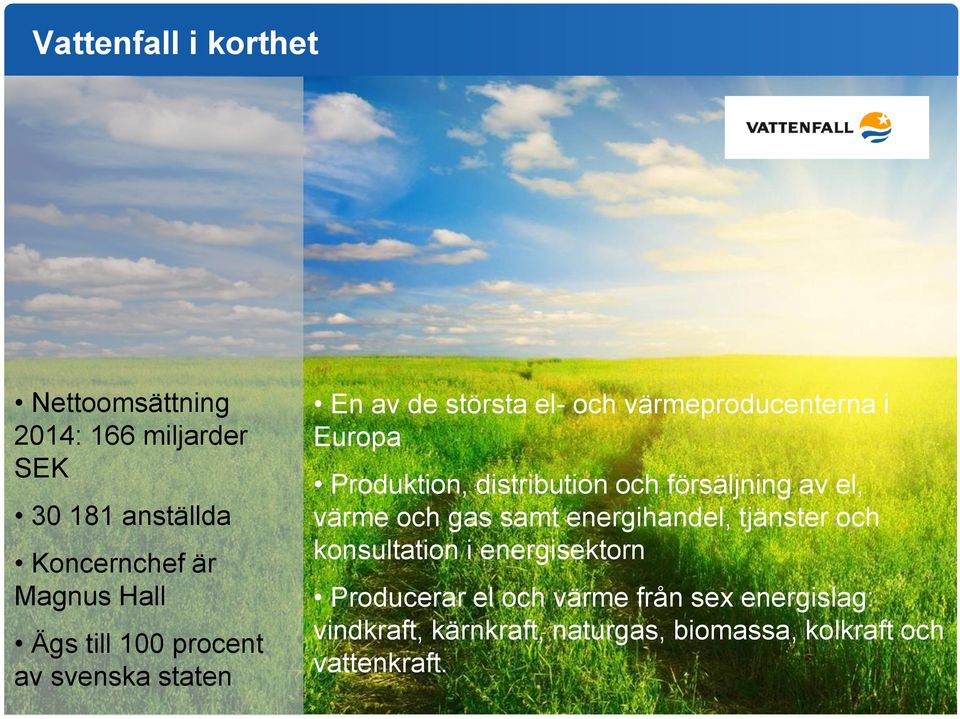 distribution och försäljning av el, värme och gas samt energihandel, tjänster och konsultation i