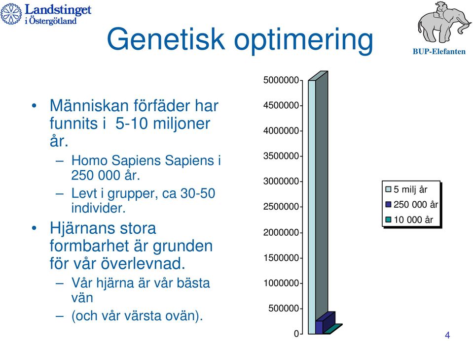 Hjärnans stora formbarhet är grunden för vår överlevnad.