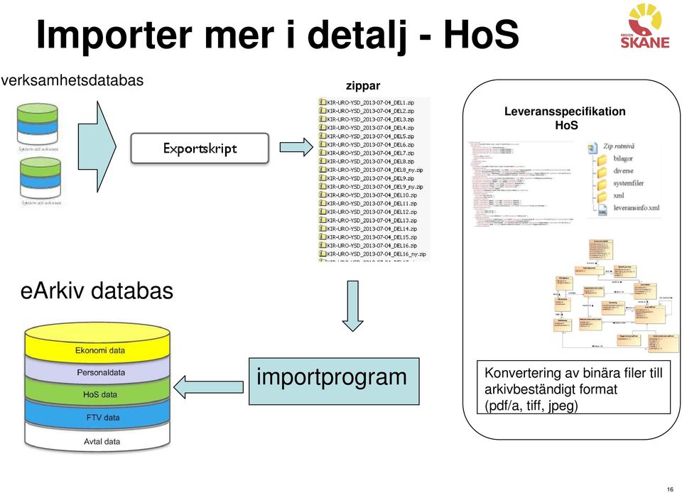 databas importprogram Konvertering av binära