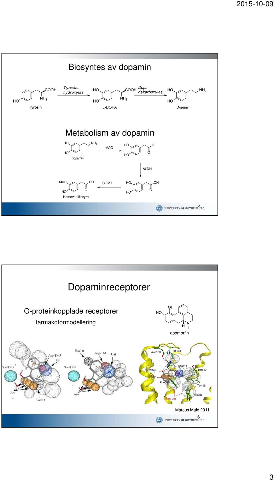 Homovanillinsyra HO O 5 Dopaminreceptorer