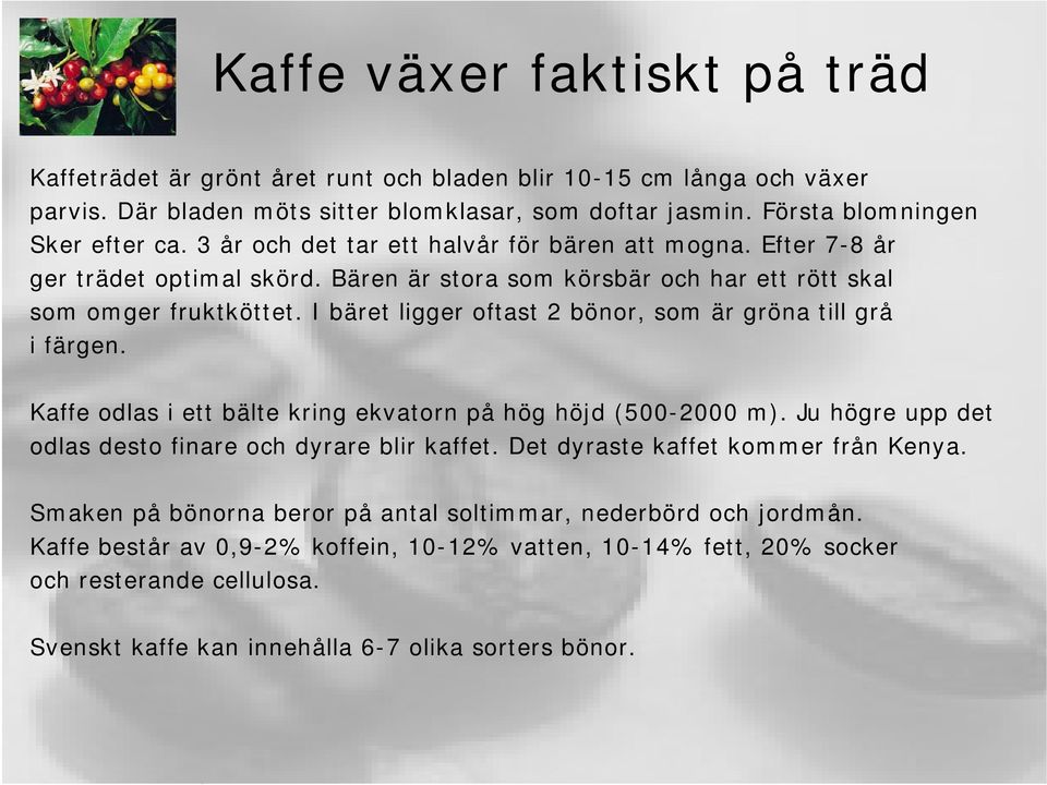 I bäret ligger oftast 2 bönor, som är gröna till grå i färgen. Kaffe odlas i ett bälte kring ekvatorn på hög höjd (500-2000 m). Ju högre upp det odlas desto finare och dyrare blir kaffet.