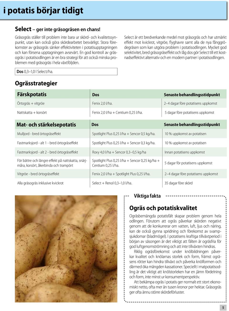 En god kontroll av gräsogräs i potatisodlingen är en bra strategi för att också minska problemen med gräsogräs i hela växtföljden.