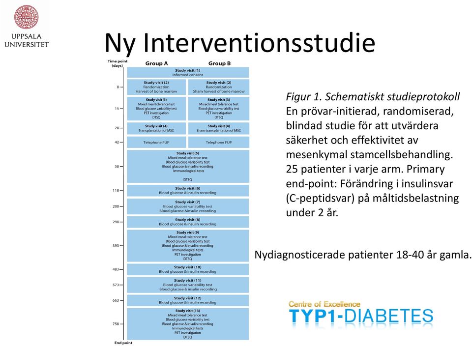 utvärdera säkerhet och effektivitet av mesenkymal stamcellsbehandling.