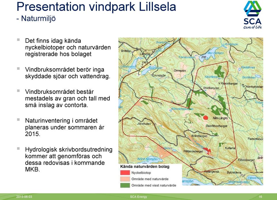 Vindbruksområdet består mestadels av gran och tall med små inslag av contorta.