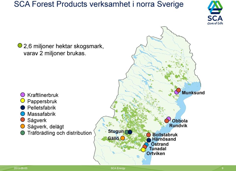 Kraftlinerbruk Pappersbruk Pelletsfabrik Massafabrik Sågverk Sågverk, delägt