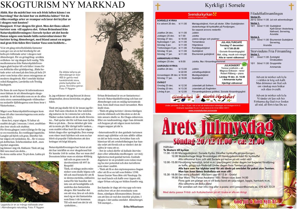 Urban Brännlund från Naturskyddsföreningen i Sorsele tycker att det borde finnas någon som kunde hålla naturexkursioner för turister kring Abmoberget, med bland annat en urgammal gran från tiden före