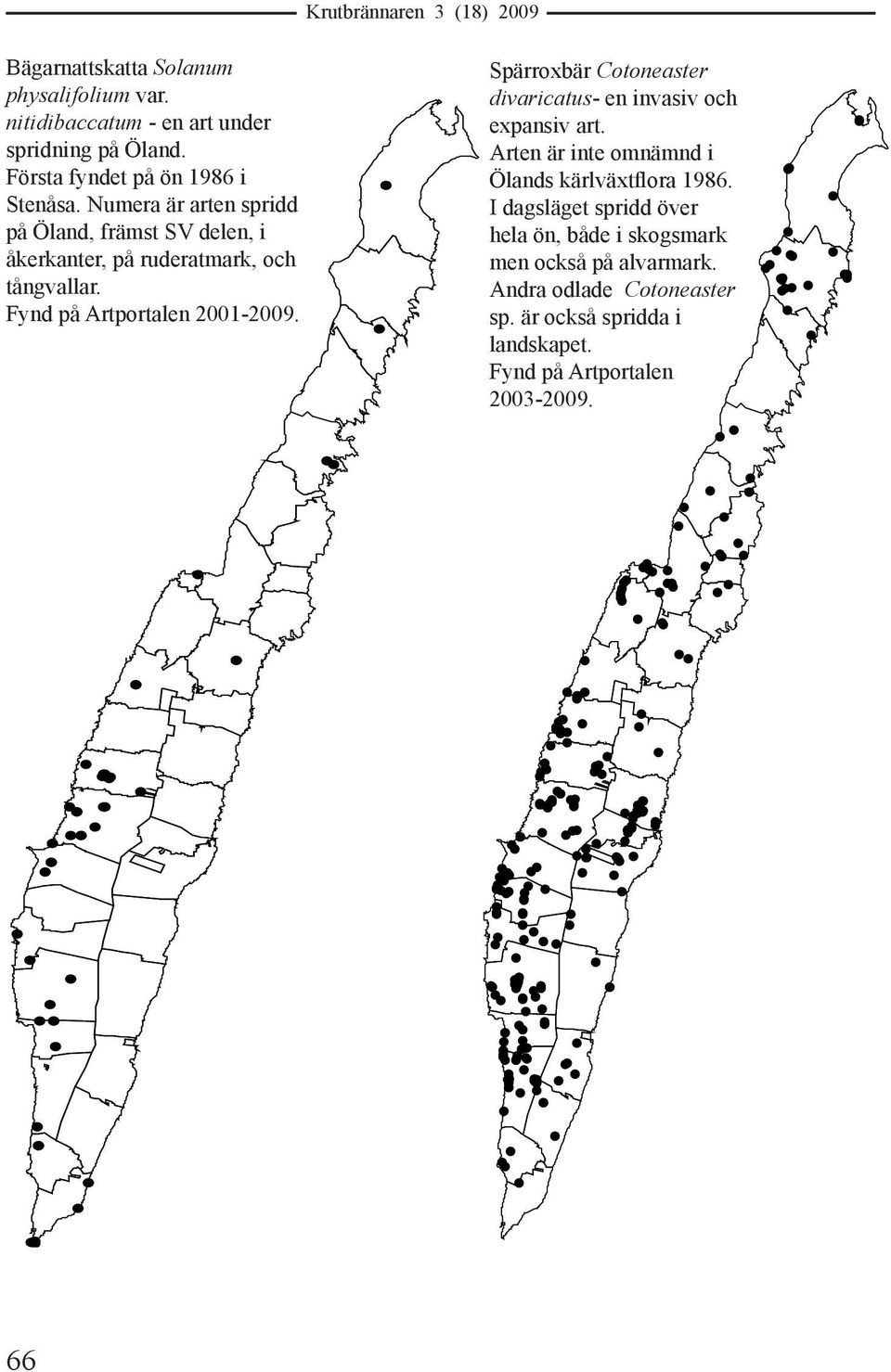 Spärroxbär Cotoneaster divaricatus- en invasiv och expansiv art. Arten är inte omnämnd i Ölands kärlväxtflora 1986.