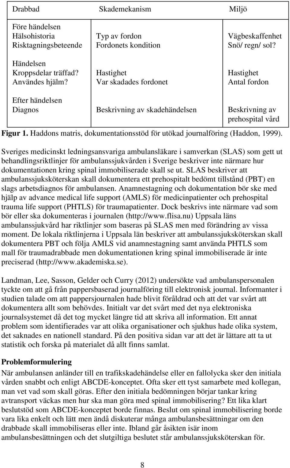 Hastighet Antal fordon Efter händelsen Diagnos Beskrivning av skadehändelsen Beskrivning av prehospital vård Figur 1. Haddons matris, dokumentationsstöd för utökad journalföring (Haddon, 1999).