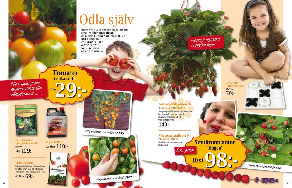 79:- Ampeljordgubbar Elan eller Roman Söta goda jordgubbar under hela sommaren. Dessutom dekorativa med stora vita eller ljusrosa blommor och ett friskt grönt bladverk.