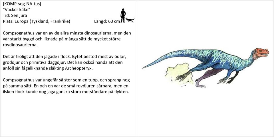 Bytet bestod mest av ödlor, groddjur och primitiva däggdjur. Det kan också hända att den anföll sin fågelliknande släkting Archeopteryx.