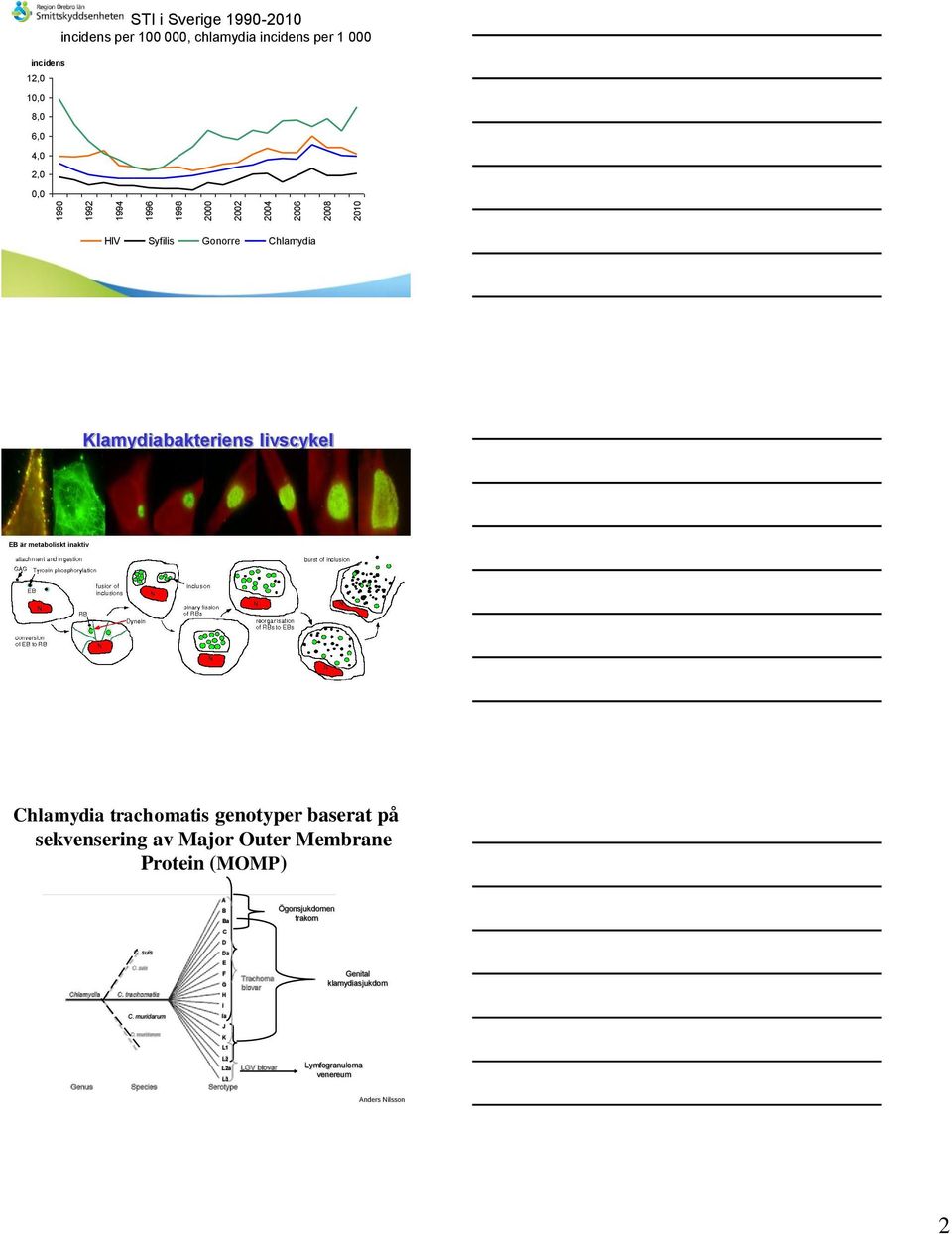 metaboliskt inaktiv Chlamydia trachomatis genotyper baserat på sekvensering av Major Outer Membrane Protein (MOMP) A B Ba