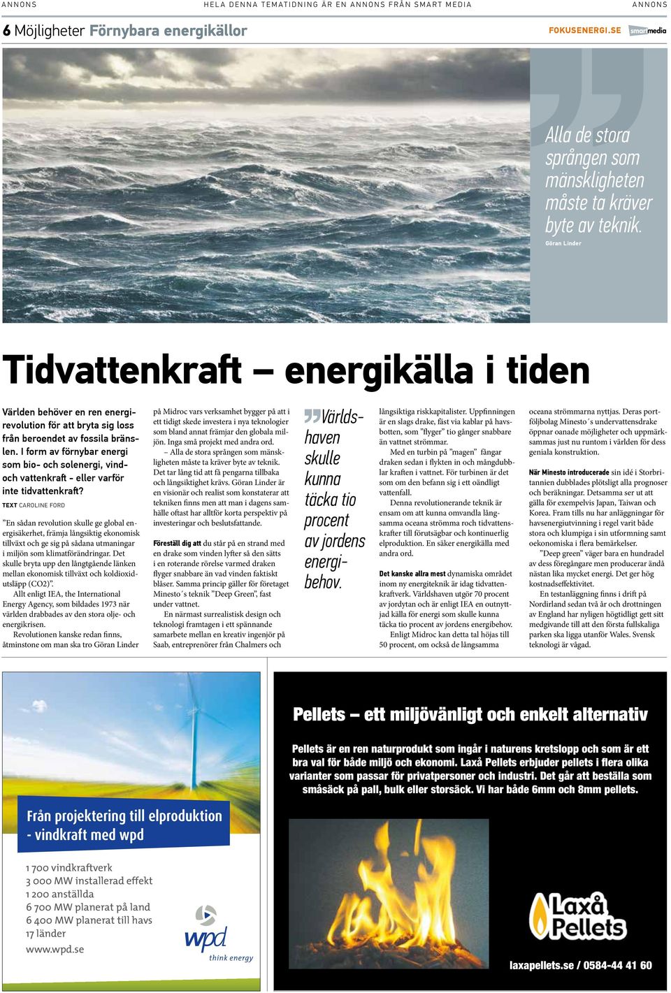 I form av förnybar energi som bio- och solenergi, vindoch vattenkraft - eller varför inte tidvattenkraft?