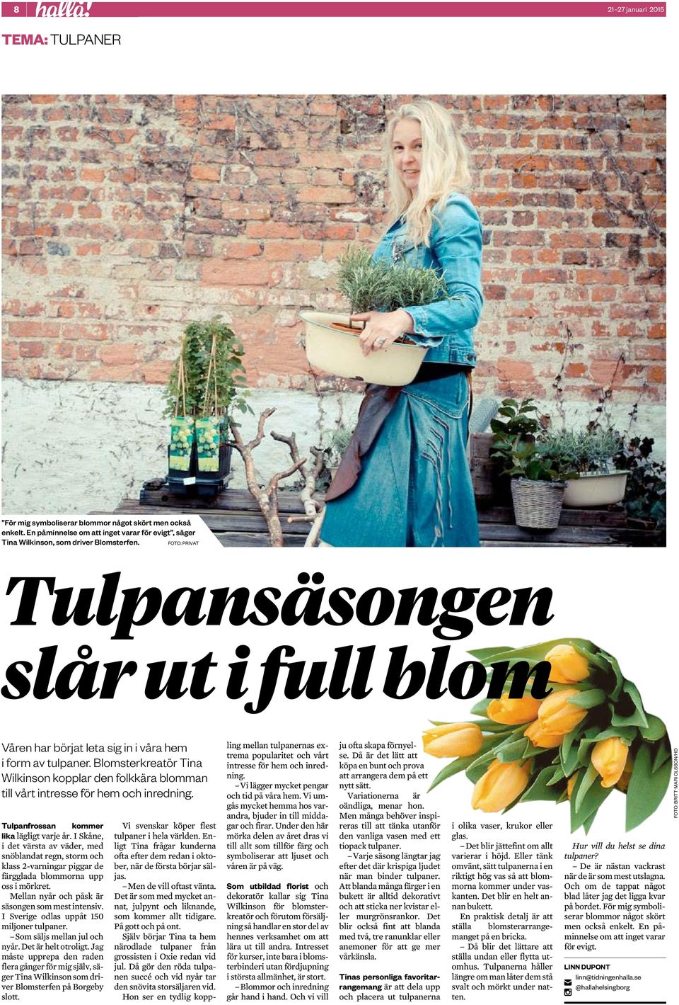 Blomsterkreatör Tina Wilkinson kopplar den folkkära blomman till vårt intresse för hem och inredning. Tulpanfrossan kommer lika lägligt varje år.