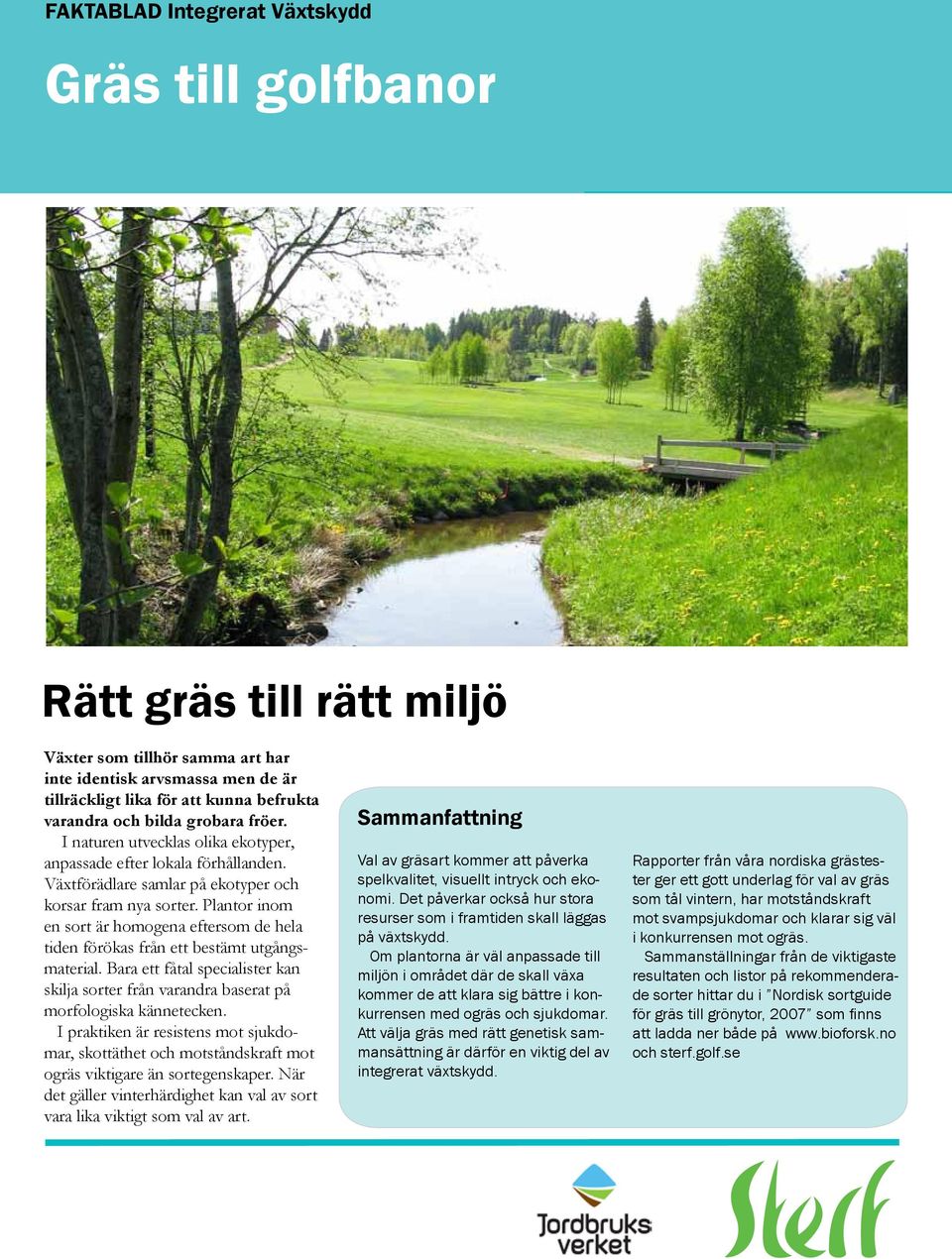 Plantor inom en sort är homogena eftersom de hela tiden förökas från ett bestämt utgångsmaterial. Bara ett fåtal specialister kan skilja sorter från varandra baserat på morfologiska kännetecken.