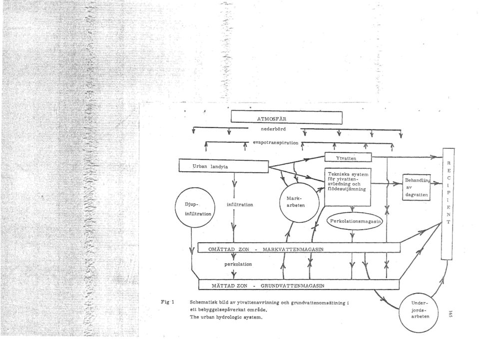 Schematisk bild av ytvattenavrinning och grundva~.