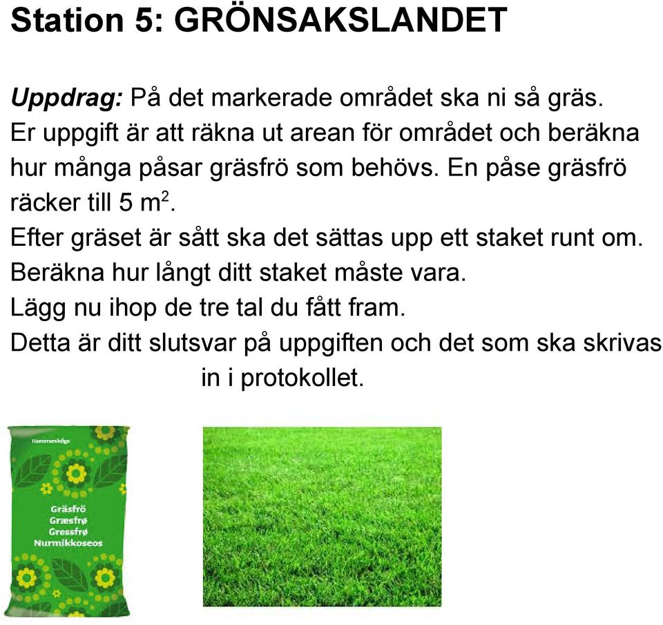 En påse gräsfrö räcker till 5 m 2. Efter gräset är sått ska det sättas upp ett staket runt om.