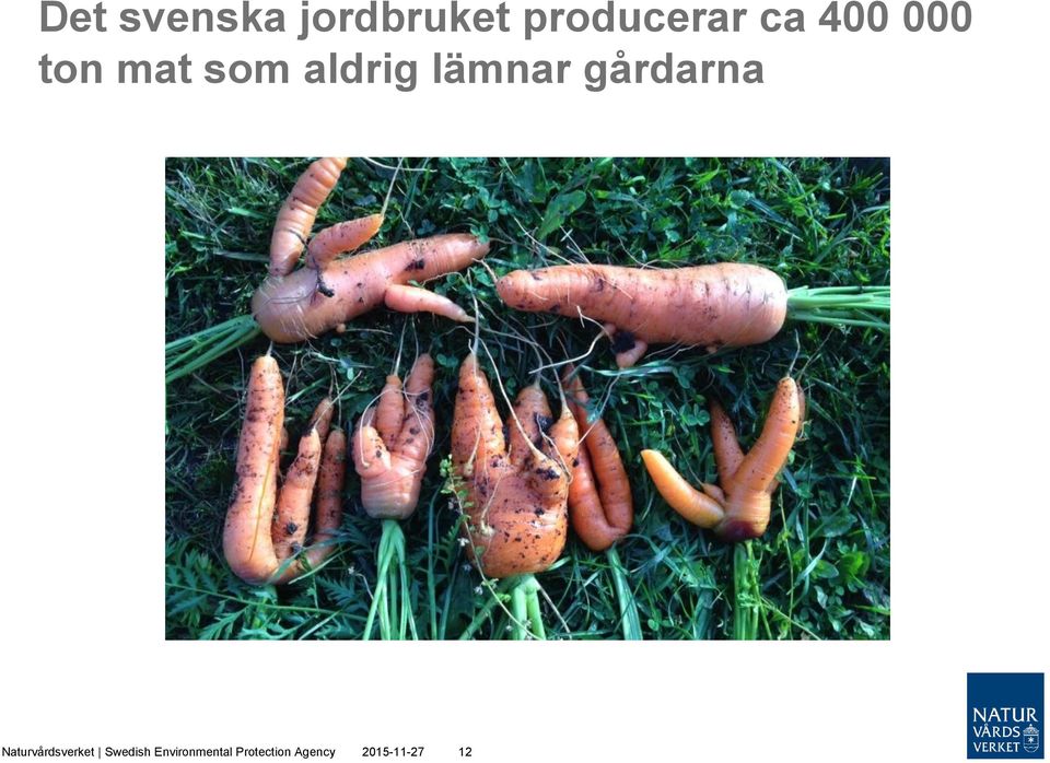 gårdarna Naturvårdsverket Swedish