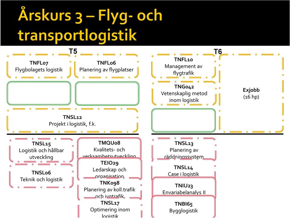 Exjobb (16 hp) TNSL12 Projekt