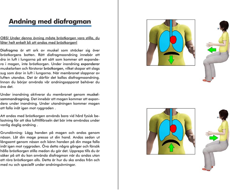 Under inandning expanderar muskelarken och förstorar bröstkorgen, vilket skapar ett slags sug som drar in luft i lungorna. När membranet slappnar av luften utandas.