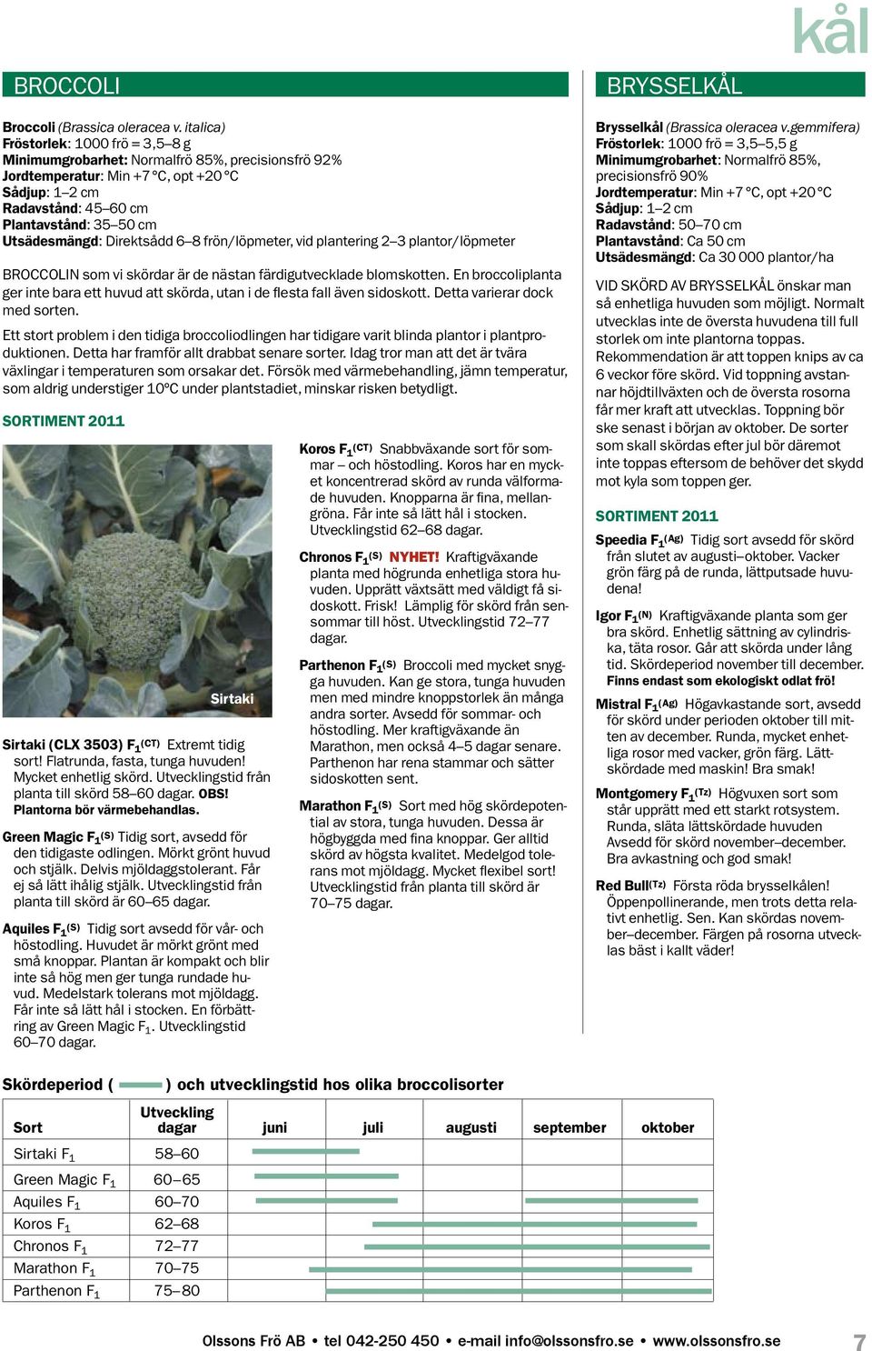 Utsädesmängd: Direktsådd 6 8 frön/löpmeter, vid plantering 2 3 plantor/löpmeter BroccoliN som vi skördar är de nästan färdigutvecklade blomskotten.