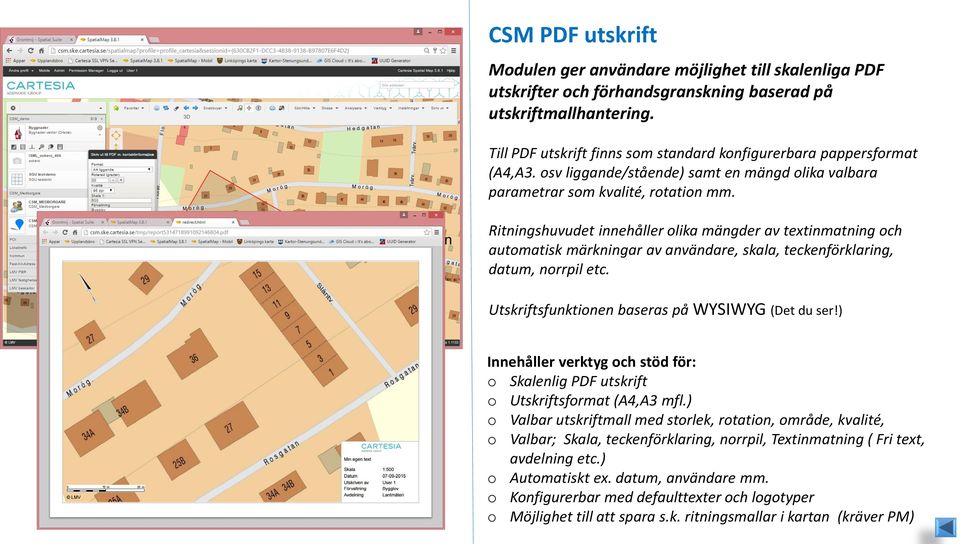 Ritningshuvudet innehåller olika mängder av textinmatning och automatisk märkningar av användare, skala, teckenförklaring, datum, norrpil etc. Utskriftsfunktionen baseras på WYSIWYG (Det du ser!