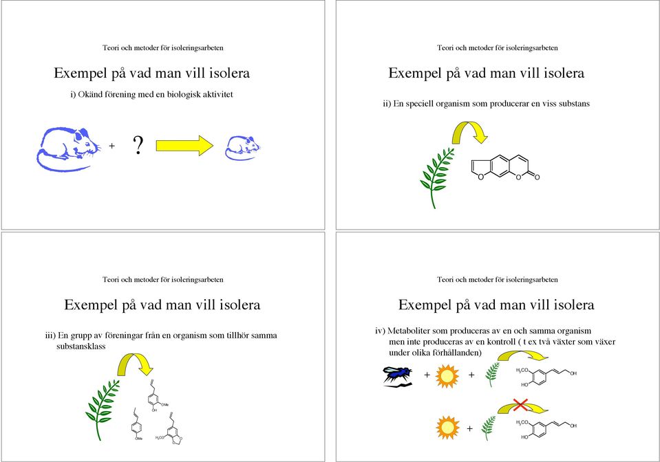 iii) En grupp av föreningar från en organism som tillhör samma substansklass iv)