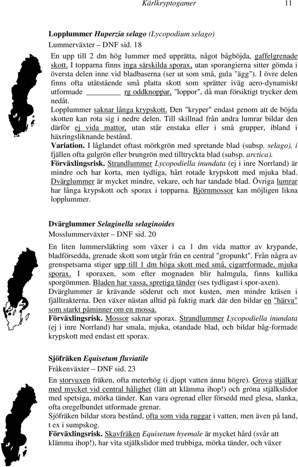 I övre delen finns ofta utåtstående små platta skott som sprätter iväg aero-dynamiskt utformade rg oddknoppar, "loppor", då man försiktigt trycker dem nedåt. Lopplummer saknar långa krypskott.