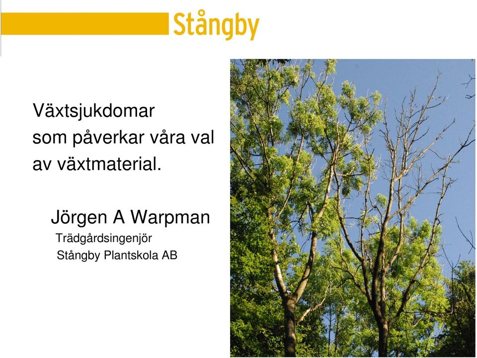 Jörgen A Warpman a