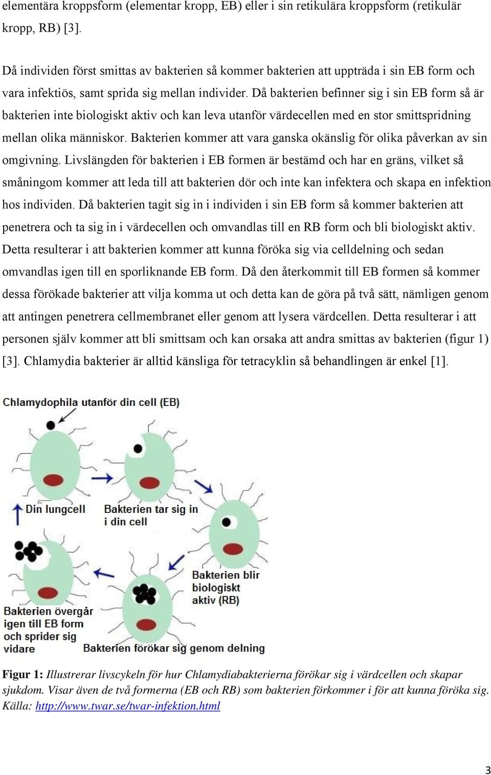 Då bakterien befinner sig i sin EB form så är bakterien inte biologiskt aktiv och kan leva utanför värdecellen med en stor smittspridning mellan olika människor.