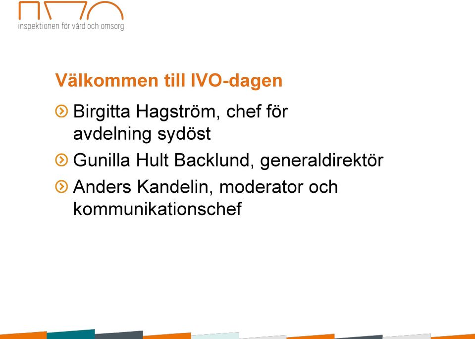 Gunilla Hult Backlund, generaldirektör